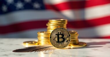 americans to rule bitcoin