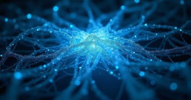 coinjoin enhances user privacy