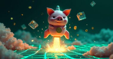 solana meme coin explodes