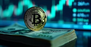 david sacks endorses stablecoin bill