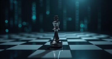 founder s risky stake success