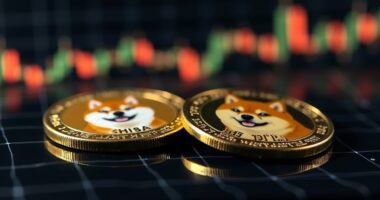 memecoin surge sparks debate