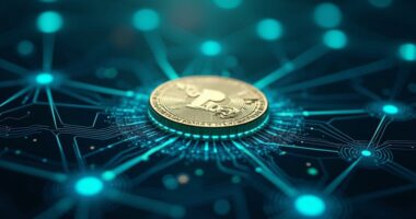 paypal s stablecoin challenges stellar