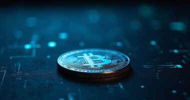 trump jr denies meme coin