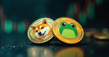 comparing meme cryptos future