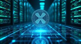 doppler finance transforms xrp yields