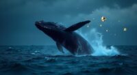 whale s ethereum investment surges
