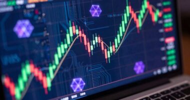 vine memecoin volatility 86