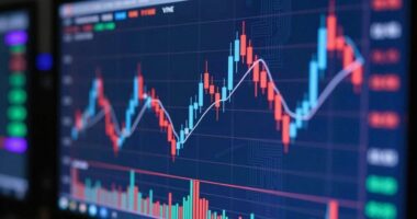 vine rally extends 86