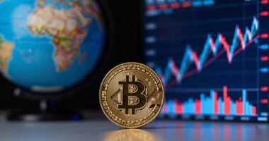bitcoin acts like risk asset not digital gold