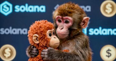 viral animal narratives trigger solana